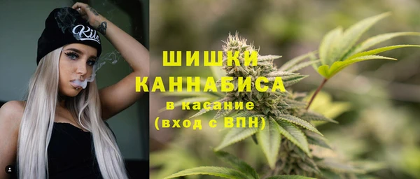 дживик Медвежьегорск