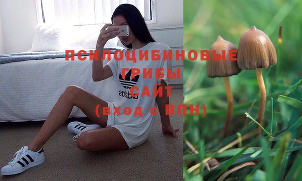 каннабис Мегион